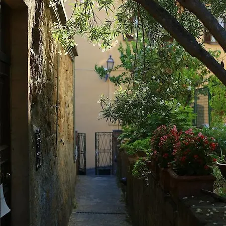 Bed & Breakfast La Palma *